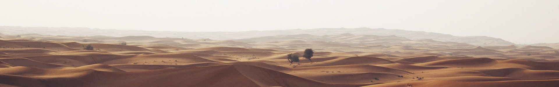 ݶŹܵ޹˾
